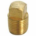 Homeplus+ CORED PLUG 1/2in. MPT 6JC120810701014